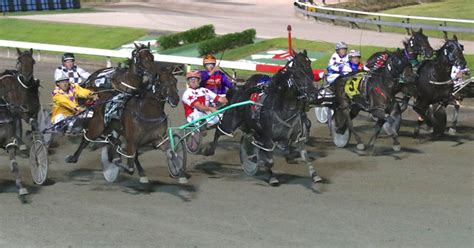 albion park harness racing fields Harness Industry information, links and forms for Clubs, Owners, Breeders and Trainers
